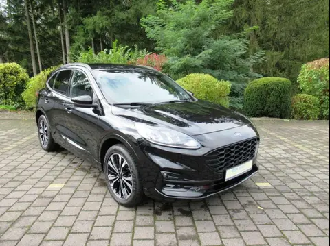 Annonce FORD KUGA Hybride 2021 d'occasion 