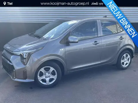 Used KIA PICANTO Petrol 2024 Ad 