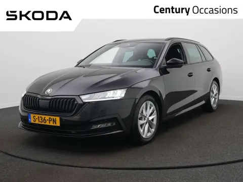 Used SKODA OCTAVIA Petrol 2023 Ad 