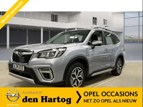 Used SUBARU FORESTER Hybrid 2020 Ad 