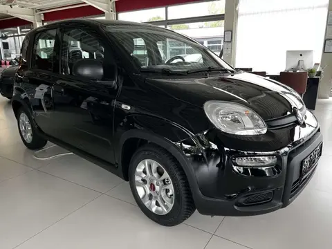 Annonce FIAT PANDA Essence 2024 d'occasion 