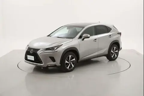 Annonce LEXUS NX Hybride 2019 d'occasion 