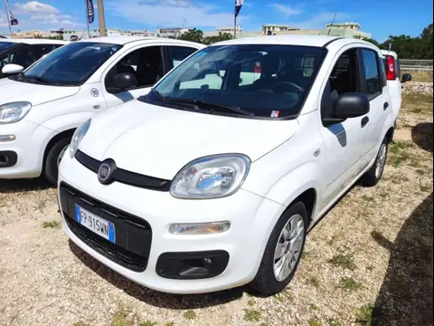 Used FIAT PANDA Diesel 2018 Ad 