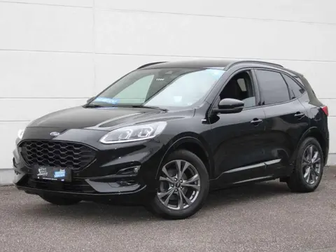 Used FORD KUGA Petrol 2020 Ad 