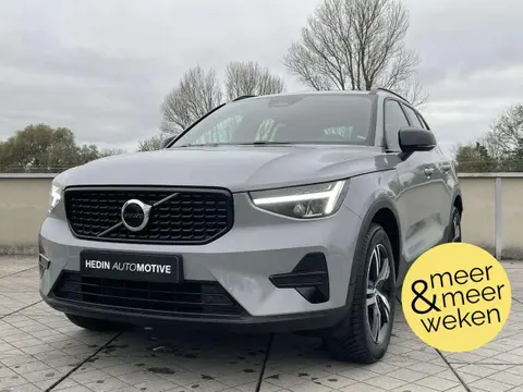 Used VOLVO XC40 Hybrid 2024 Ad 