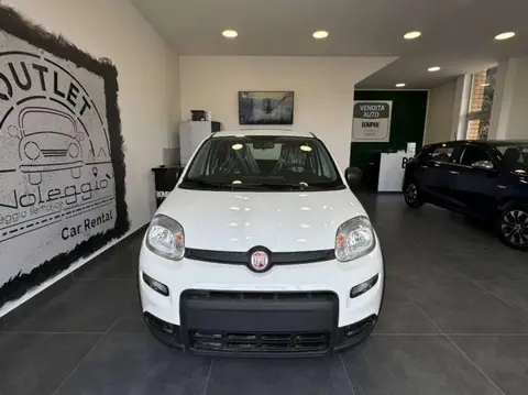 Used FIAT PANDA Hybrid 2024 Ad 