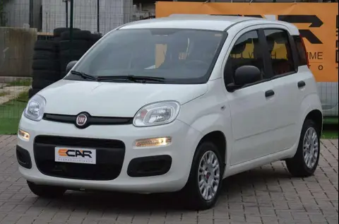 Annonce FIAT PANDA Essence 2020 d'occasion 