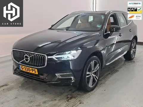 Used VOLVO XC60 Hybrid 2019 Ad 