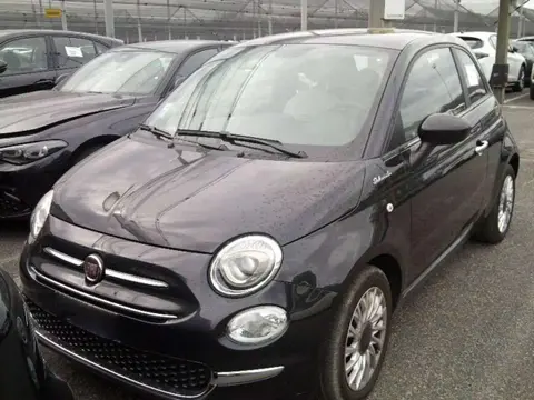 Annonce FIAT 500 Hybride 2022 d'occasion 