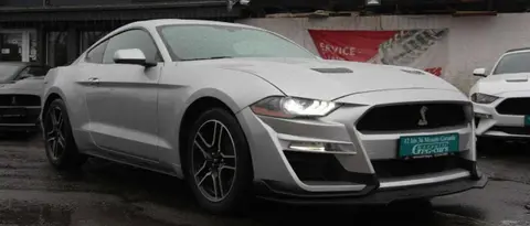 Annonce FORD MUSTANG Essence 2019 d'occasion 