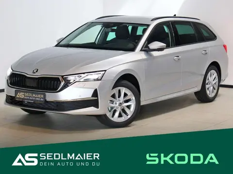 Annonce SKODA OCTAVIA Diesel 2024 d'occasion 