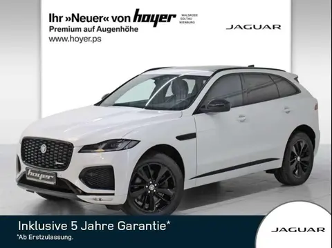 Used JAGUAR F-PACE Diesel 2023 Ad 