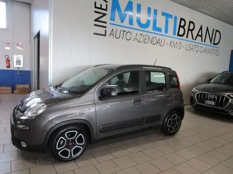 Annonce FIAT PANDA Hybride 2021 d'occasion 