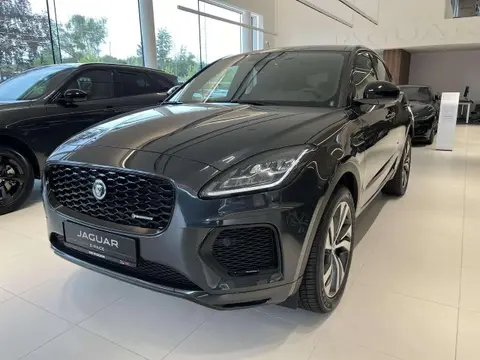 Annonce JAGUAR E-PACE Hybride 2024 d'occasion 