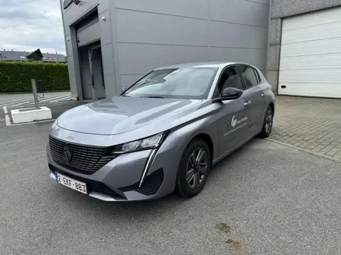 Annonce PEUGEOT 308 Essence 2023 d'occasion 