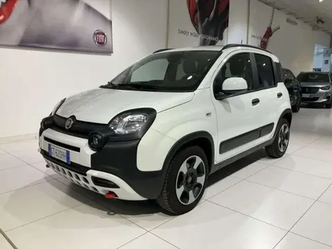 Annonce FIAT PANDA Hybride 2024 d'occasion 