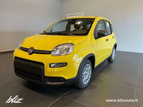 Annonce FIAT PANDA Hybride 2024 d'occasion 