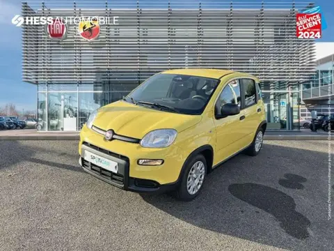 Annonce FIAT PANDA  2024 d'occasion 