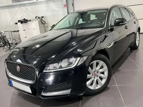 Used JAGUAR XF Diesel 2019 Ad 