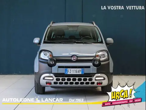 Used FIAT PANDA Petrol 2020 Ad 