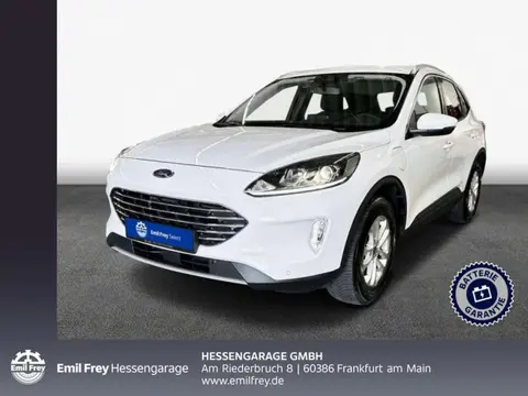 Used FORD KUGA Hybrid 2022 Ad 