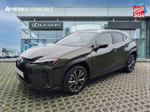 Used LEXUS UX  2024 Ad 