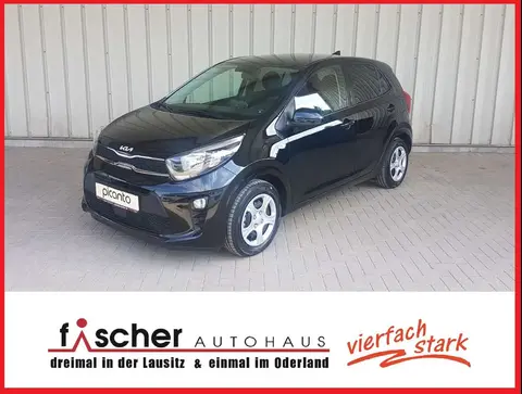 Used KIA PICANTO Petrol 2024 Ad 