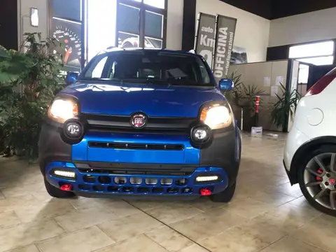 Annonce FIAT PANDA Essence 2023 d'occasion 