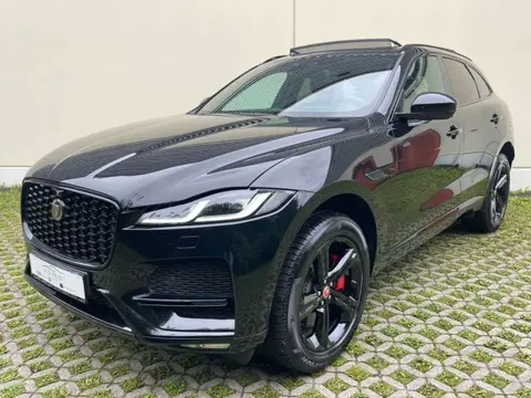 Annonce JAGUAR F-PACE Hybride 2021 d'occasion 