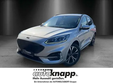 Annonce FORD KUGA Essence 2020 d'occasion 