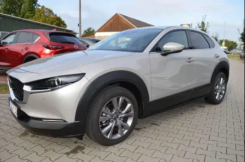 Annonce MAZDA CX-30 Hybride 2024 d'occasion 