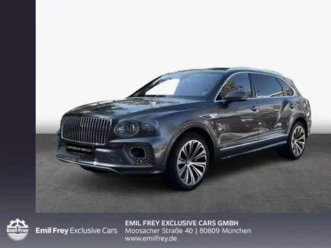 Used BENTLEY BENTAYGA Petrol 2023 Ad 