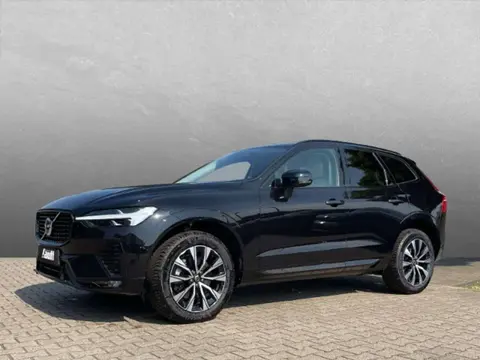 Used VOLVO XC60 Diesel 2023 Ad 