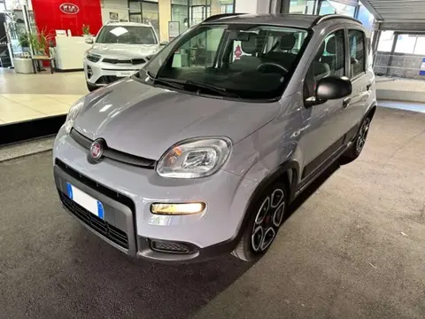 Used FIAT PANDA Hybrid 2021 Ad 