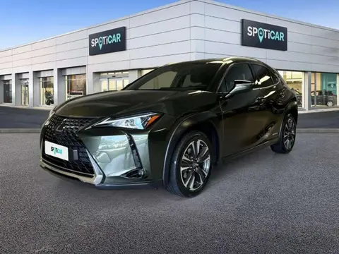 Annonce LEXUS UX Hybride 2019 d'occasion 