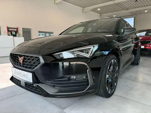 Used CUPRA LEON Petrol 2023 Ad 