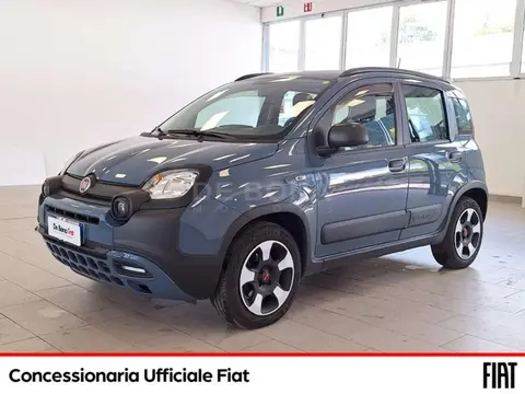 Annonce FIAT PANDA Hybride 2021 d'occasion 