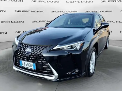 Annonce LEXUS UX Hybride 2022 d'occasion 