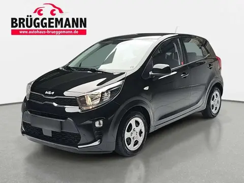 Used KIA PICANTO Petrol 2023 Ad 