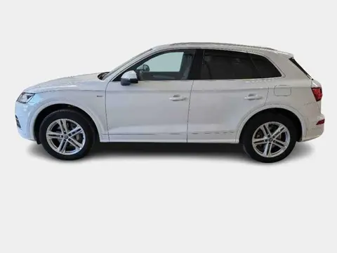 Used AUDI Q5 Hybrid 2020 Ad 