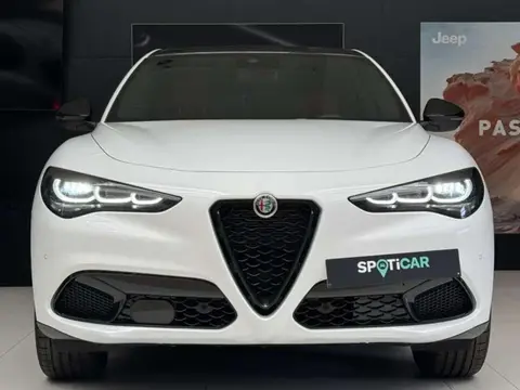 Used ALFA ROMEO STELVIO Diesel 2023 Ad 