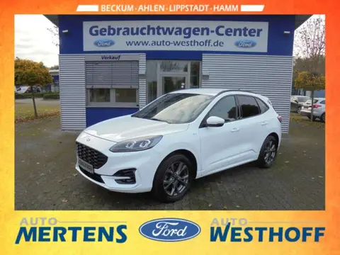 Annonce FORD KUGA Essence 2020 d'occasion 