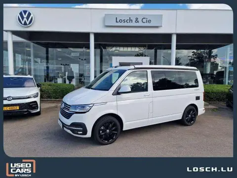 Annonce VOLKSWAGEN T6 Diesel 2024 d'occasion 