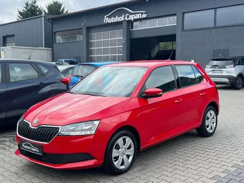 Annonce SKODA FABIA Essence 2019 d'occasion 