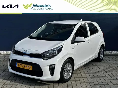 Used KIA PICANTO Petrol 2023 Ad 