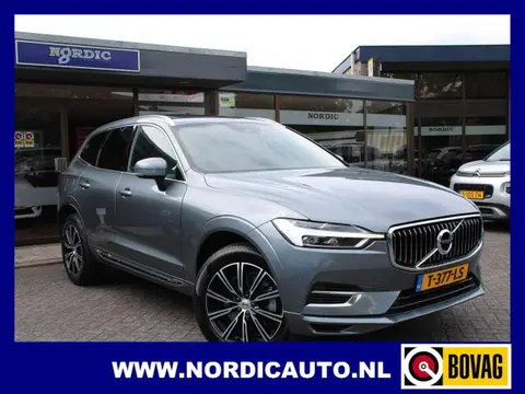 Annonce VOLVO XC60 Hybride 2018 d'occasion 