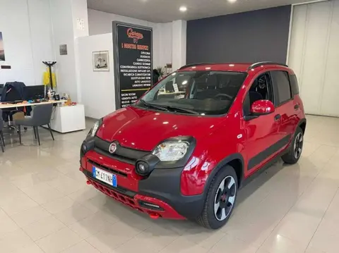 Annonce FIAT PANDA Hybride 2023 d'occasion 