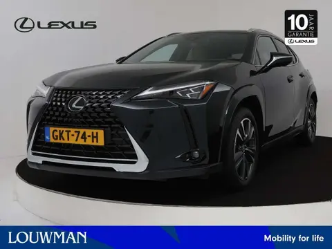 Used LEXUS UX Hybrid 2024 Ad 