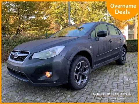 Used SUBARU XV Petrol 2015 Ad 