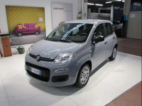 Used FIAT PANDA Petrol 2019 Ad 